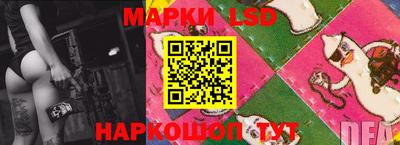 Альфа ПВП Моздок