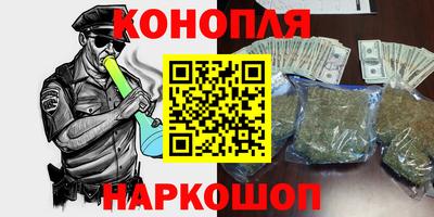 Альфа ПВП Моздок