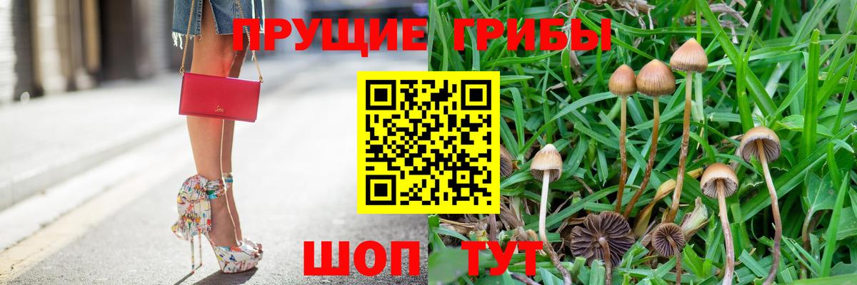 Псилоцибиновые грибы мухоморы  Псилоцибиновые грибы ЛСД  Чапаевск  Вход с VPN 